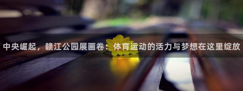 沐鸣体育代理申请流程