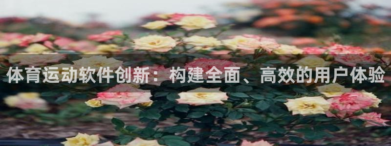 沐鸣官网入口