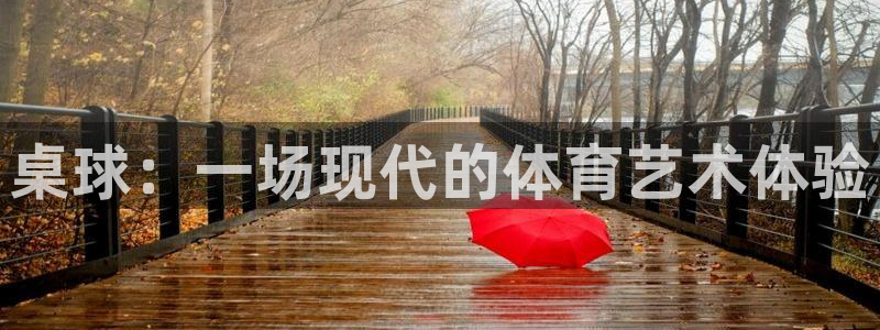 沐鸣4注册：桌球：一场现代的体育艺术体验