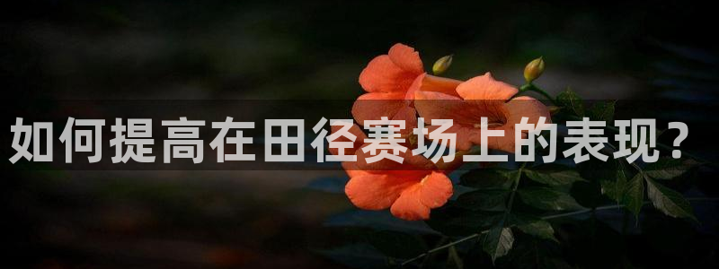 沐鸣体育合法嘛：如何提高在田径赛场上的表现？