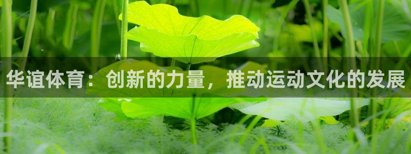 沐鸣能源：华谊体育：创新的力量，推动运动文化的发展