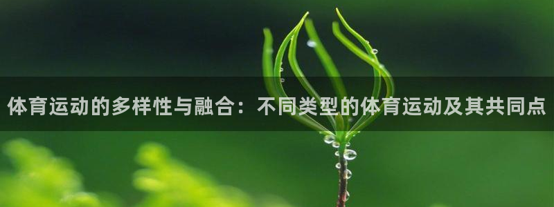 上海沐鸣汽车电子有限公司：体育运动的多样性与融合：不同类型的体育运动及其共同点