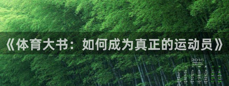 沐鸣体育官网：《体育大书：如何成为真正的运动员》