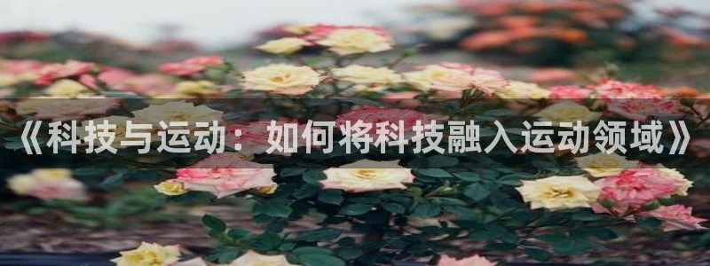 沐鸣代理注册官网入口：《科技与运动：如何将科技融入运动领域》