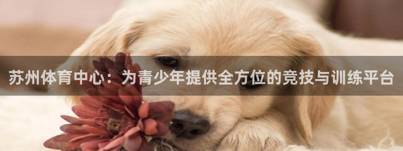 沐鸣体育平台开号链接：苏州体育中心：为青少年提供全方位的竞技与训练平台