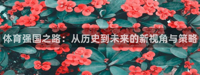 沐鸣体育官网：体育强国之路：从历史到未来的新视角与策略