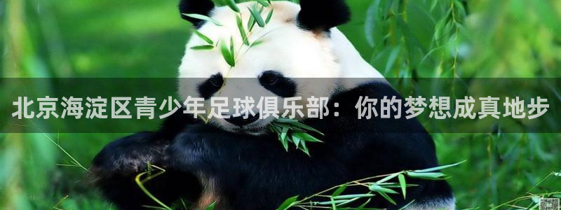 沐鸣2登录注册：北京海淀区青少年足球俱乐部：你的梦想成真地步