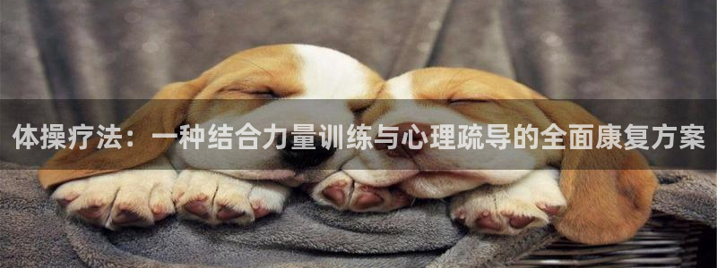 沐鸣2官网注册：体操疗法：一种结合力量训练与心理疏导的全面康复方案