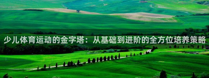 沐鸣平台登录入口：少儿体育运动的金字塔：从基础到进阶的全方位培养策略