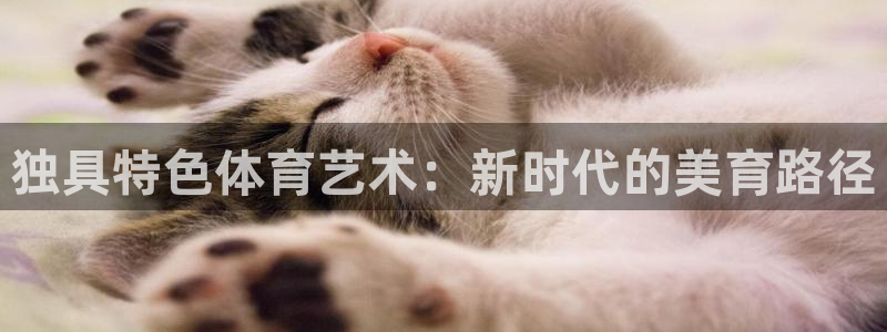 沐鸣2官方登录：独具特色体育艺术：新时代的美育路径