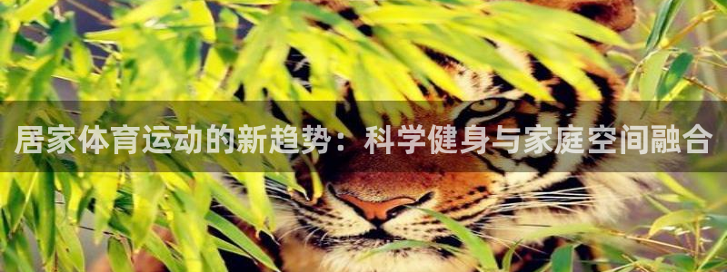沐鸣体育凯捷登陆：居家体育运动的新趋势：科学健身与家庭空间融合