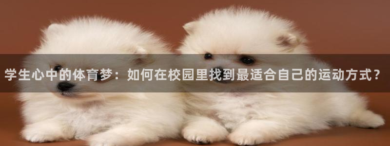 沐鸣登录地址：学生心中的体育梦：如何在校园里找到最适合自己的运动方式？