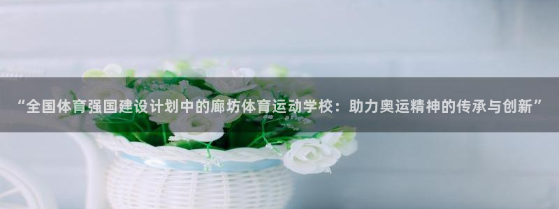 沐鸣4注册：“全国体育强国建设计划中的廊坊体育运动学校：助力奥运精神的传承与创新