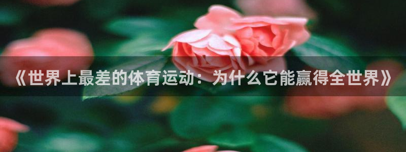 沐鸣娱乐登录：《世界上最差的体育运动：为什么它能赢得全世界》