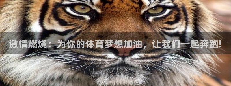 沐鸣3平台注册：激情燃烧：为你的体育梦想加油，让我们一起奔跑!