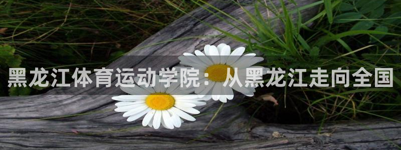 沐鸣4：黑龙江体育运动学院：从黑龙江走向全国