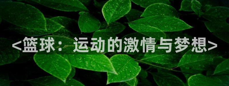 沐鸣主管：<篮球：运动的激情与梦想>