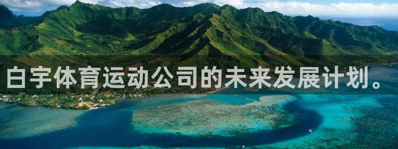 沐鸣代理：白宇体育运动公司的未来发展计划。
