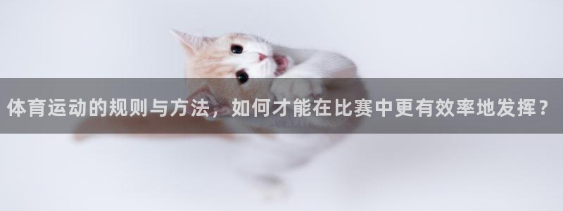 沐鸣平台主管：体育运动的规则与方法，如何才能在比赛中更有效率地发挥？