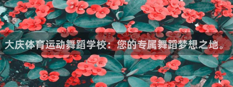 沐鸣官网：大庆体育运动舞蹈学校：您的专属舞蹈梦想之地。