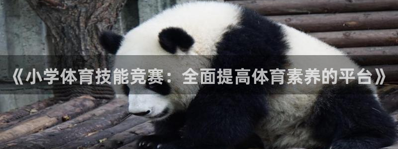 沐鸣5招商：《小学体育技能竞赛：全面提高体育素养的平台》
