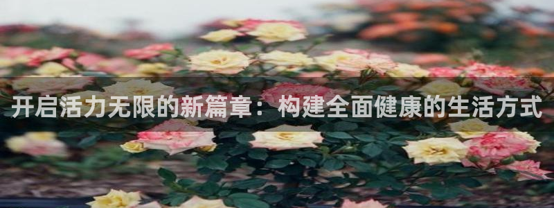 沐鸣网址：开启活力无限的新篇章：构建全面健康的生活方式