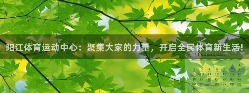 沐鸣体育官网登录：阳江体育运动中心：聚集大家的力量，开启全民体育新生活!