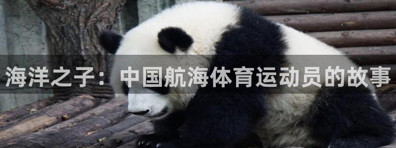 沐鸣集团官网：海洋之子：中国航海体育运动员的故事