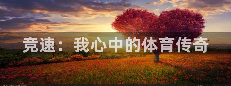 沐鸣2体育：竞速：我心中的体育传奇