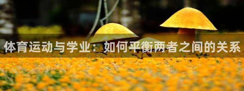 沐鸣2代理注册：体育运动与学业：如何平衡两者之间的关系